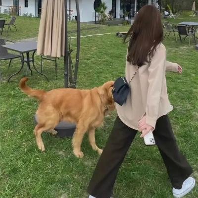 歌声魅影